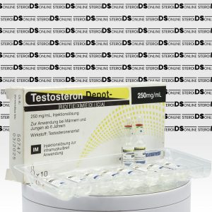 Testosteron Depot - 250 mg Rotexmedica