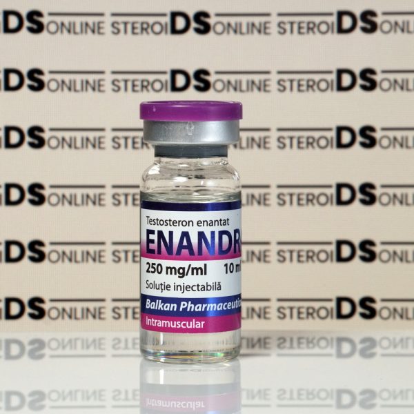 Enandrol (Testosterona E) 250 mg Balkan Pharmaceuticals - obrazek 3