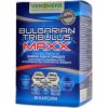 VEMOHERB TRIBULUS TERRESTRIS MAXX 60 Kapsul VEMOHERB - obrazek 3